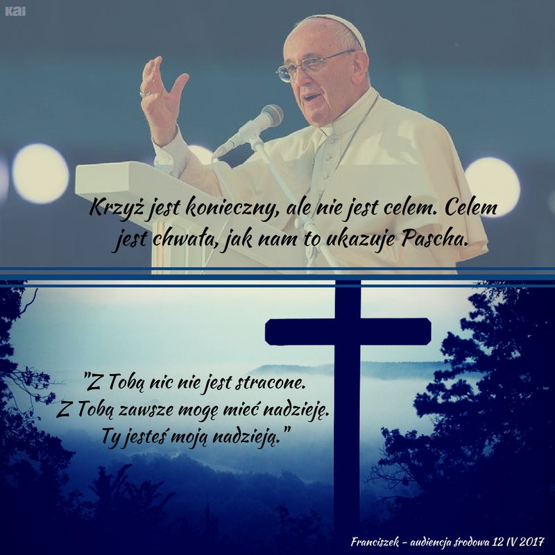 audiencja papież franciszek