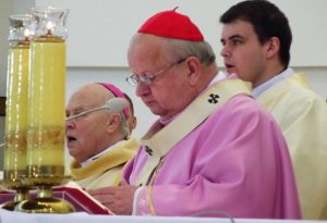 Kard Stanisław Dziwisz